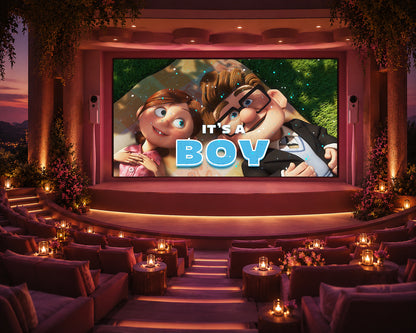Up Boy Gender Reveal Non-Custom Video