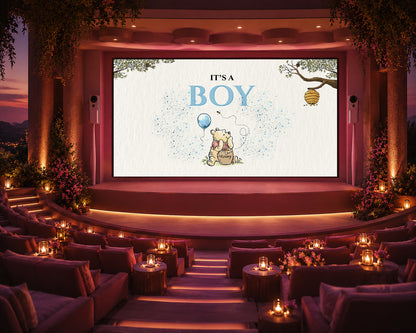 Winnie The Pooh Boy Gender Reveal Non-Custom Video