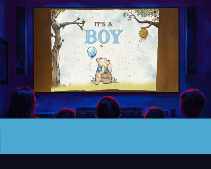 Winnie The Pooh Gender Reveal Movie Boy