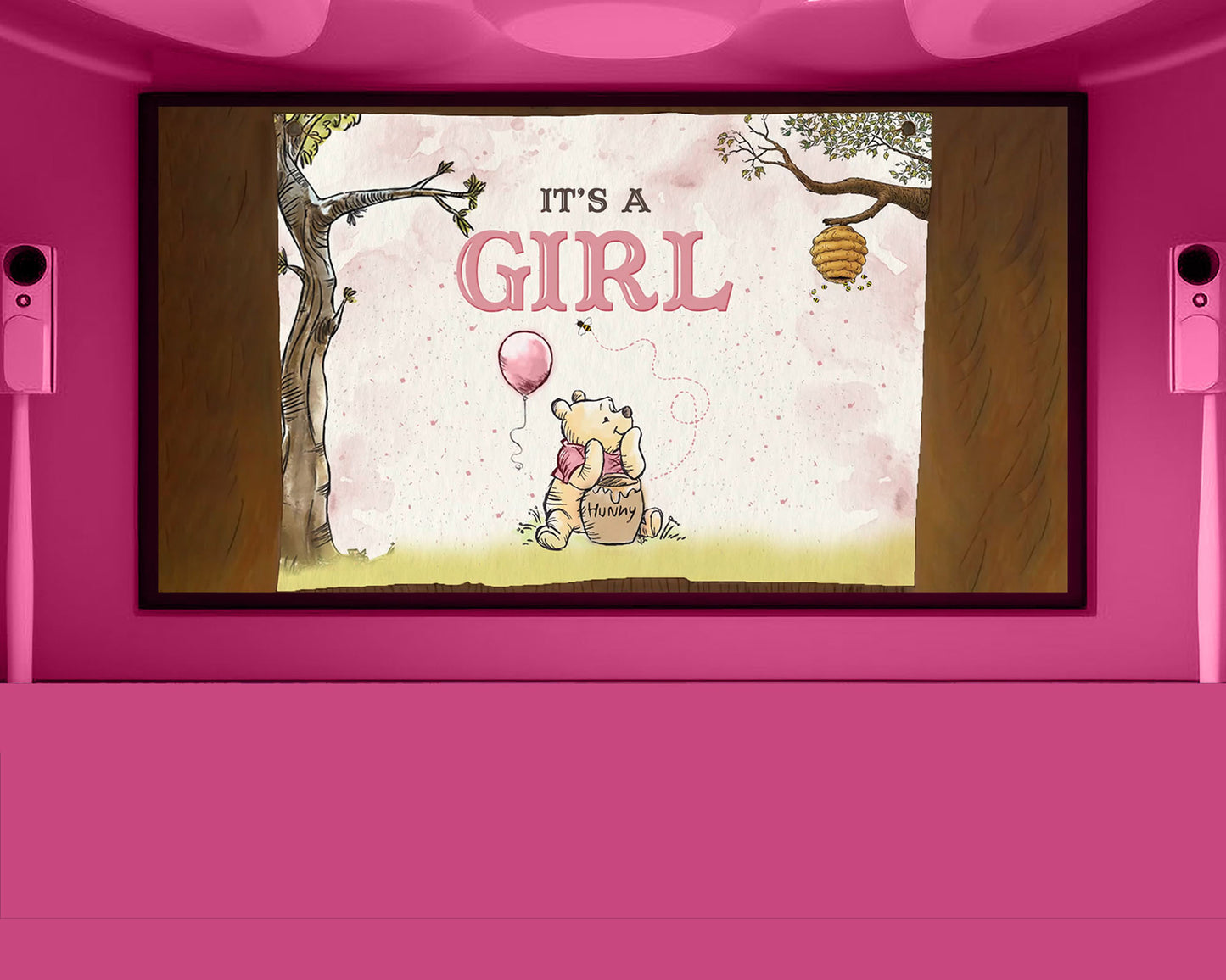 Winnie The Pooh Gender Reveal Movie Girl