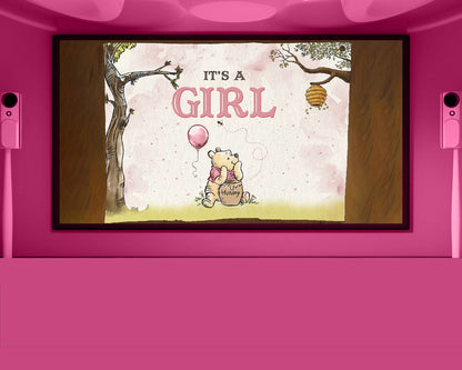 Winnie The Pooh Gender Reveal Movie Girl
