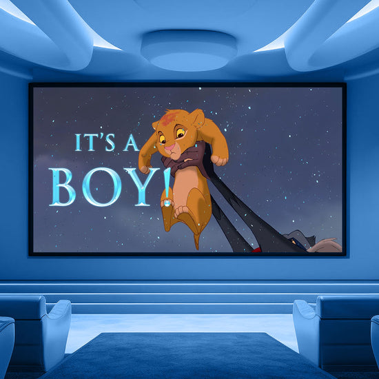 Lion King Boy Gender Reveal Non-Custom Video