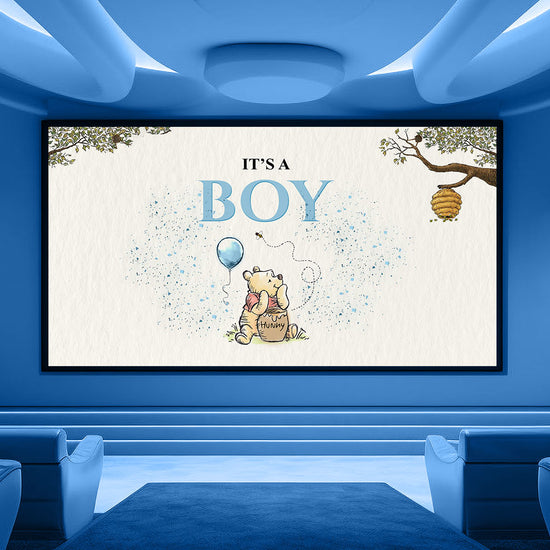 Winnie The Pooh Boy Gender Reveal Non-Custom Video