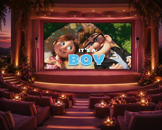 Up Gender Reveal Movie Boy