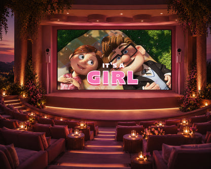 Up Gender Reveal Movie Girl