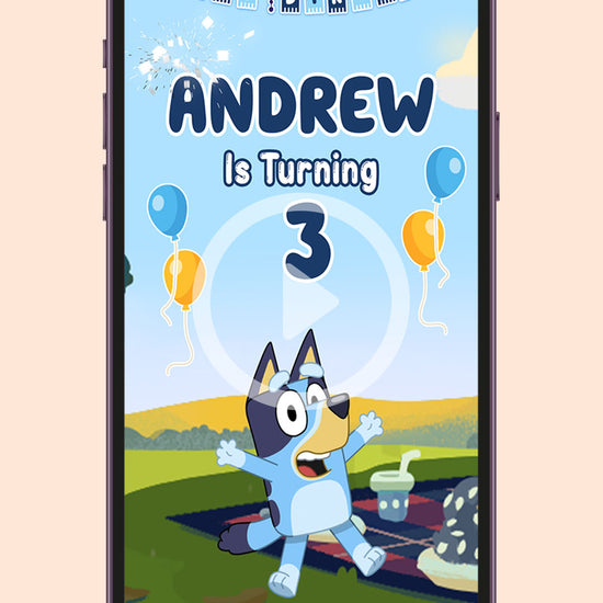 Bluey Birthday Video Invitation